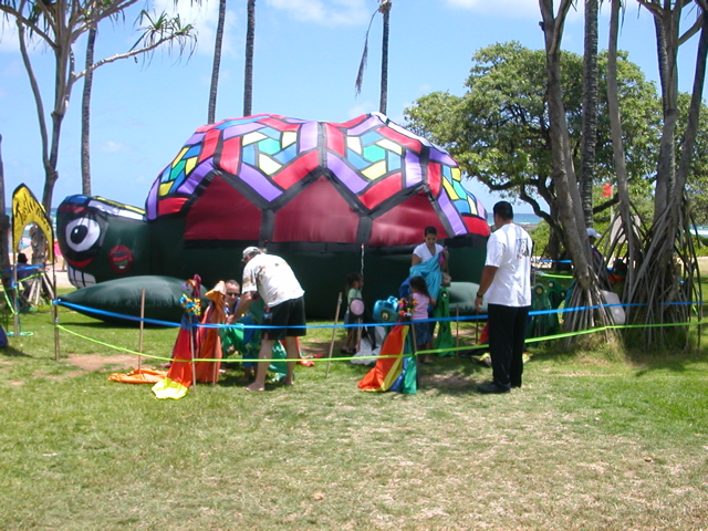 Inflatable Turtle