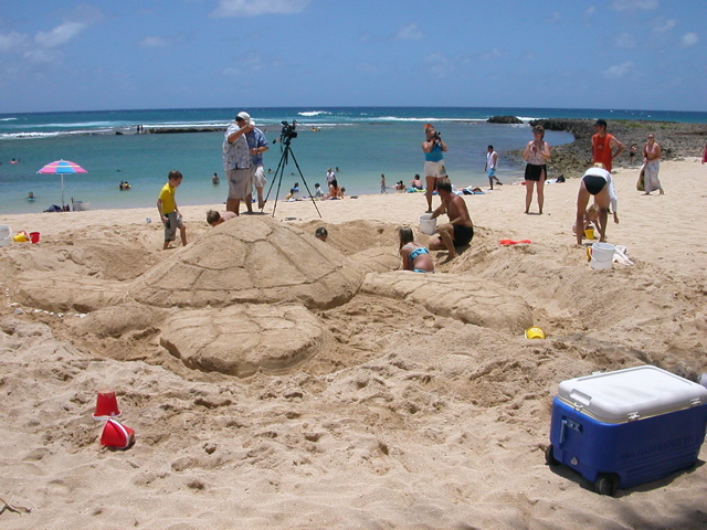 Sand Turtle Sculpture