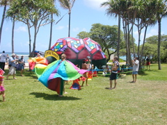 Inflatable Turtle