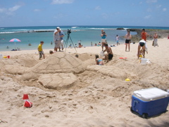 Sand Turtle Sculpture