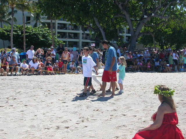 Carrying a Turtle Toward the Ocean