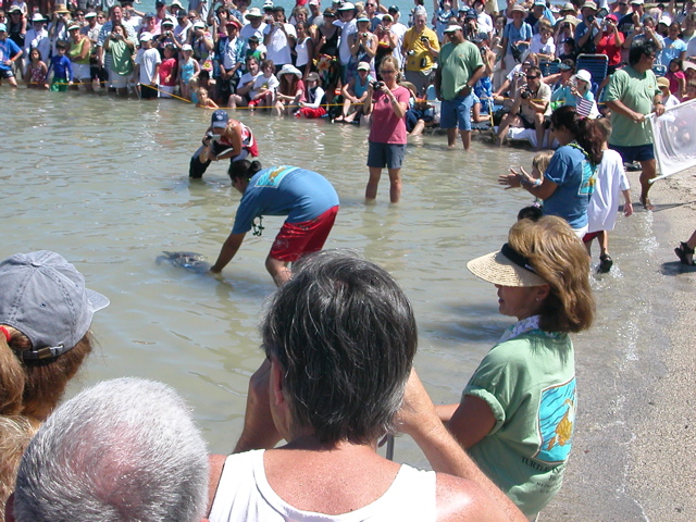 Release!