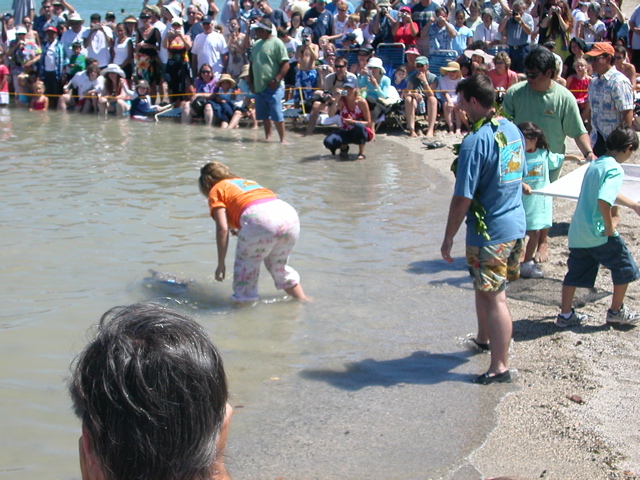 And Release!