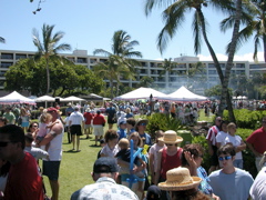 Booths at Sea Turtle Independence Day