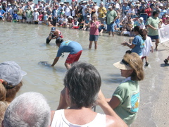 Release!