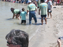 Eight turtles were released on 4July05