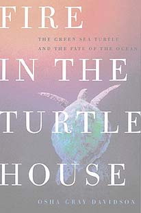 Fire in the Turtle House book cover